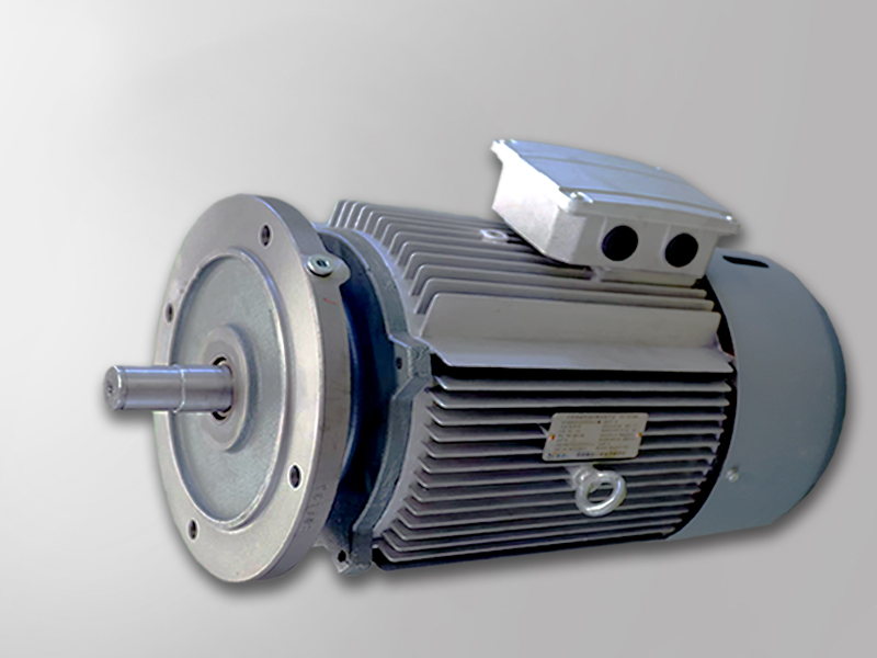 F/K/R系列變頻運行電機(jī)